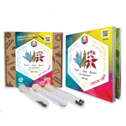 Box of dye seeds PRIMARY DYES