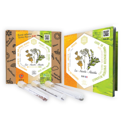 Box of medicinal aromatic seeds Regional appetizers
