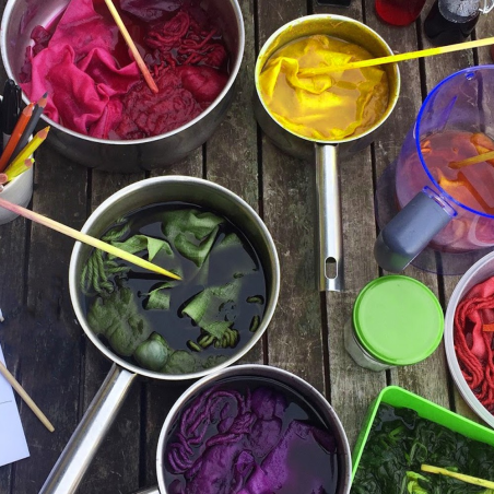 Vegetable dyes