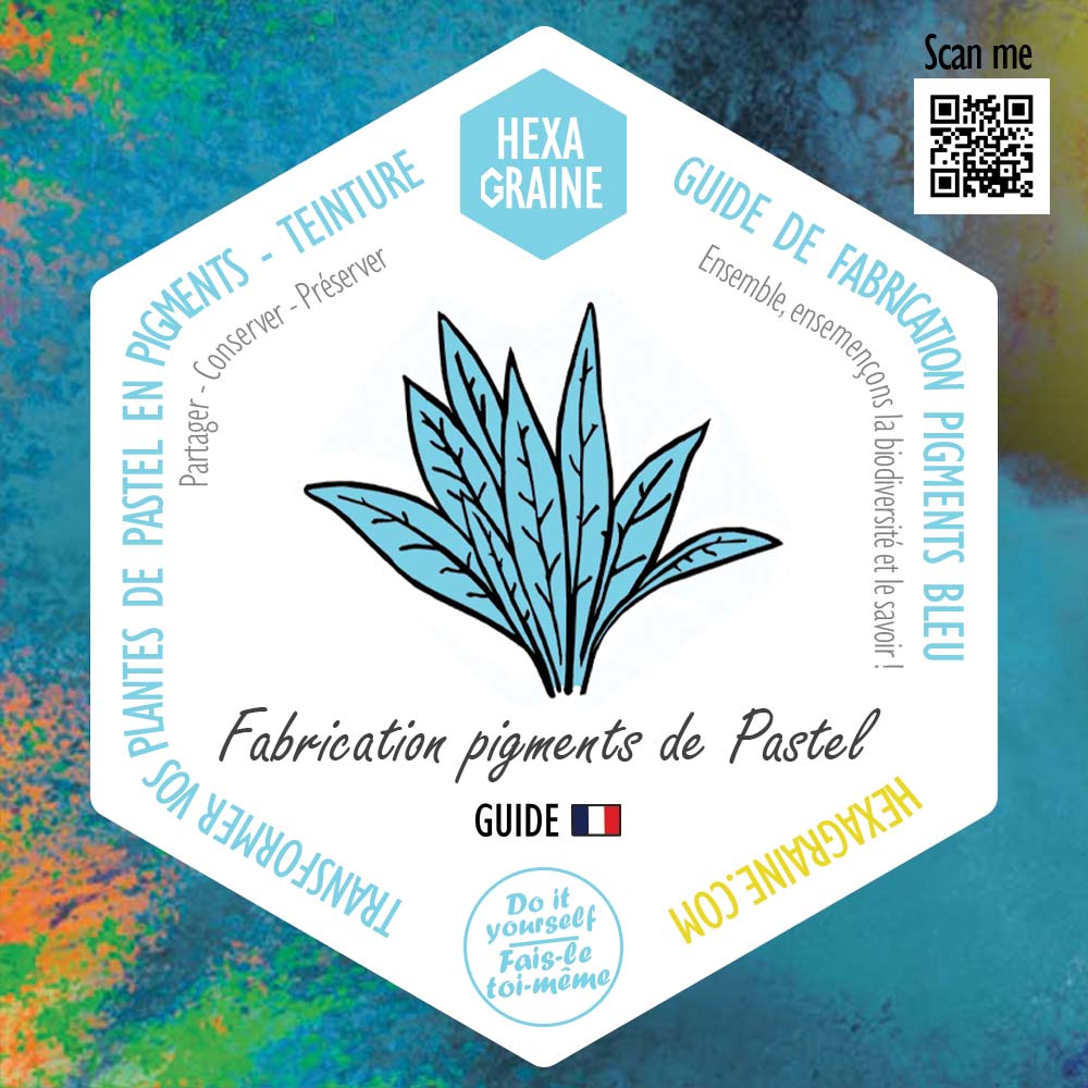 Guide de fabrication de pigments végétales bleu de pastel