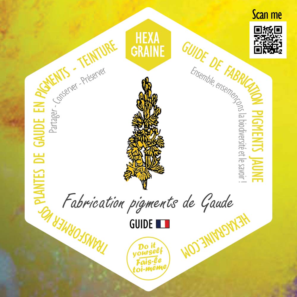 Guide de fabrication pigments végétale jaune de gaude