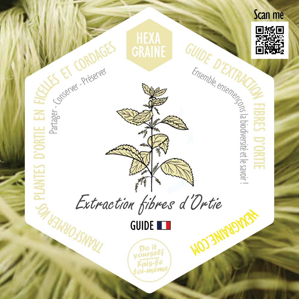 Guide d'extraction fibres végétales d'ortie