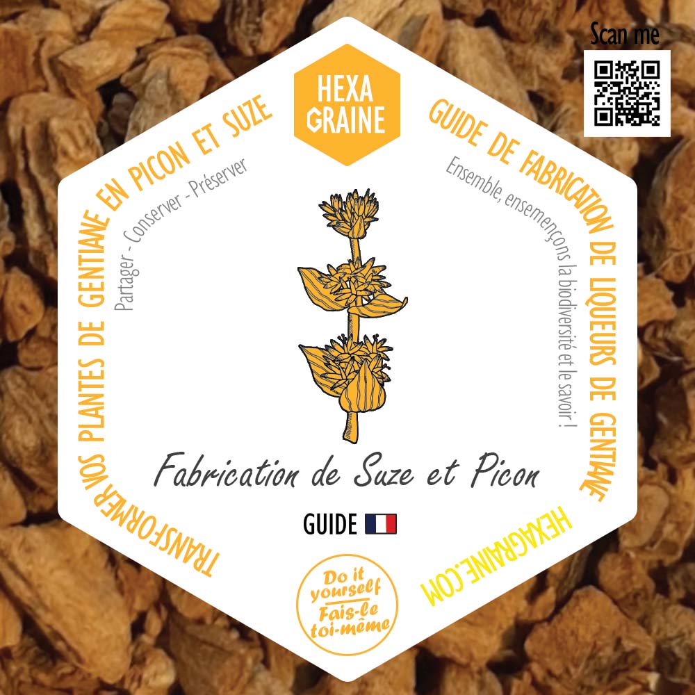 Guide de fabrication suze, picon liqueur de gentiane