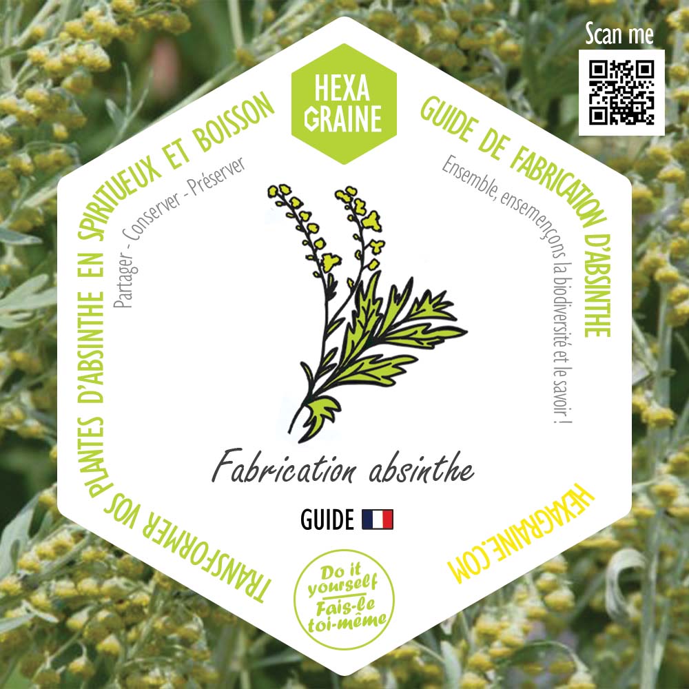 Guide de fabrication d'absinthe