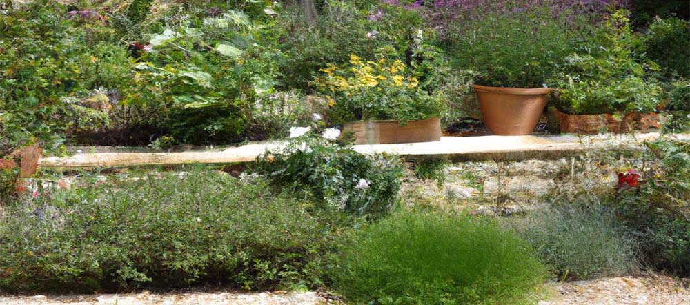 Comment créer un jardin utile ?