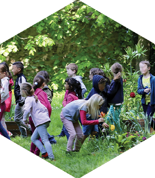 Balade gourmande, école primaire scout