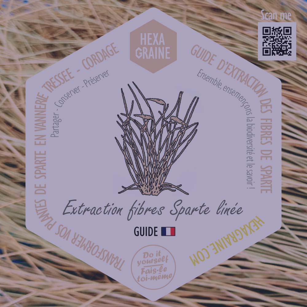 Guide Do it yourself extraction des fibres de sparte