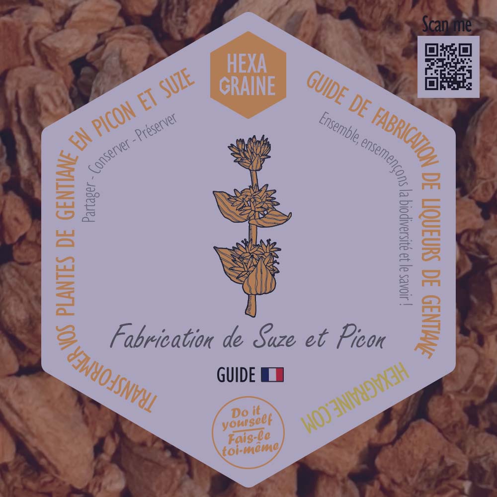 Guide de fabrication de liqueur de gentiane, Suze et picon