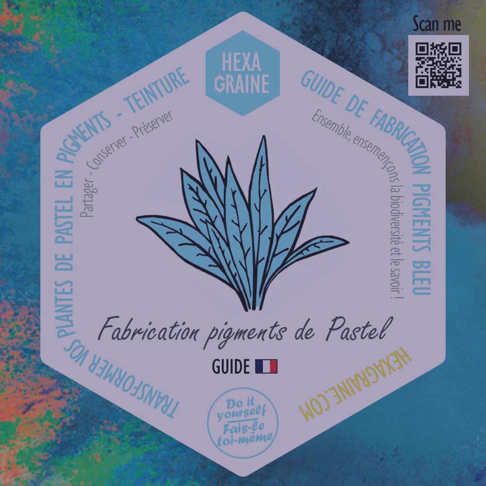 guide de fabrication de pigment bleu de pastel