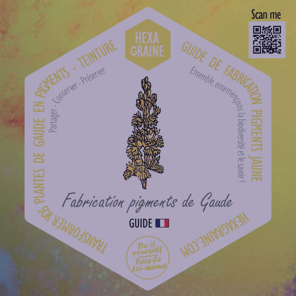 Guide de fabrication pigment végétal jaune de gaude