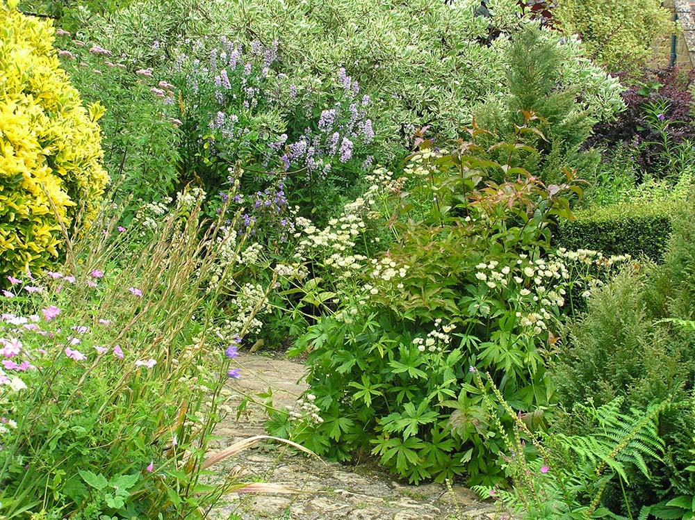 Exemple jardin médicinales