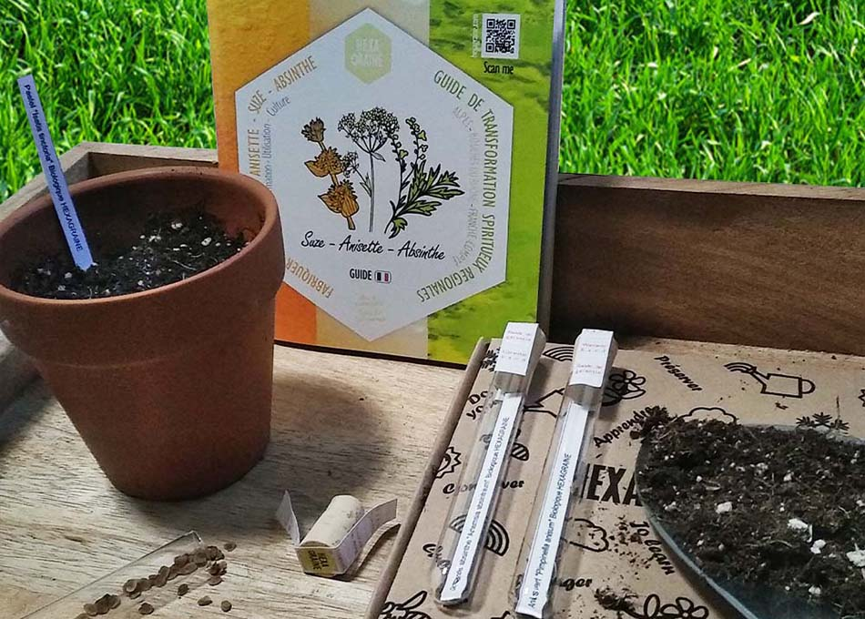 Guide de germination des semences Hexagraine Guide de germination des semences Hexagraine