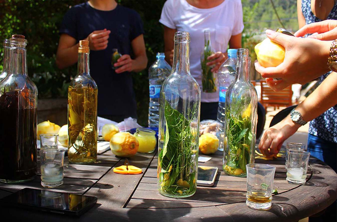 Coffret de graines pour culture et fabrication d'apéritifs régionaux